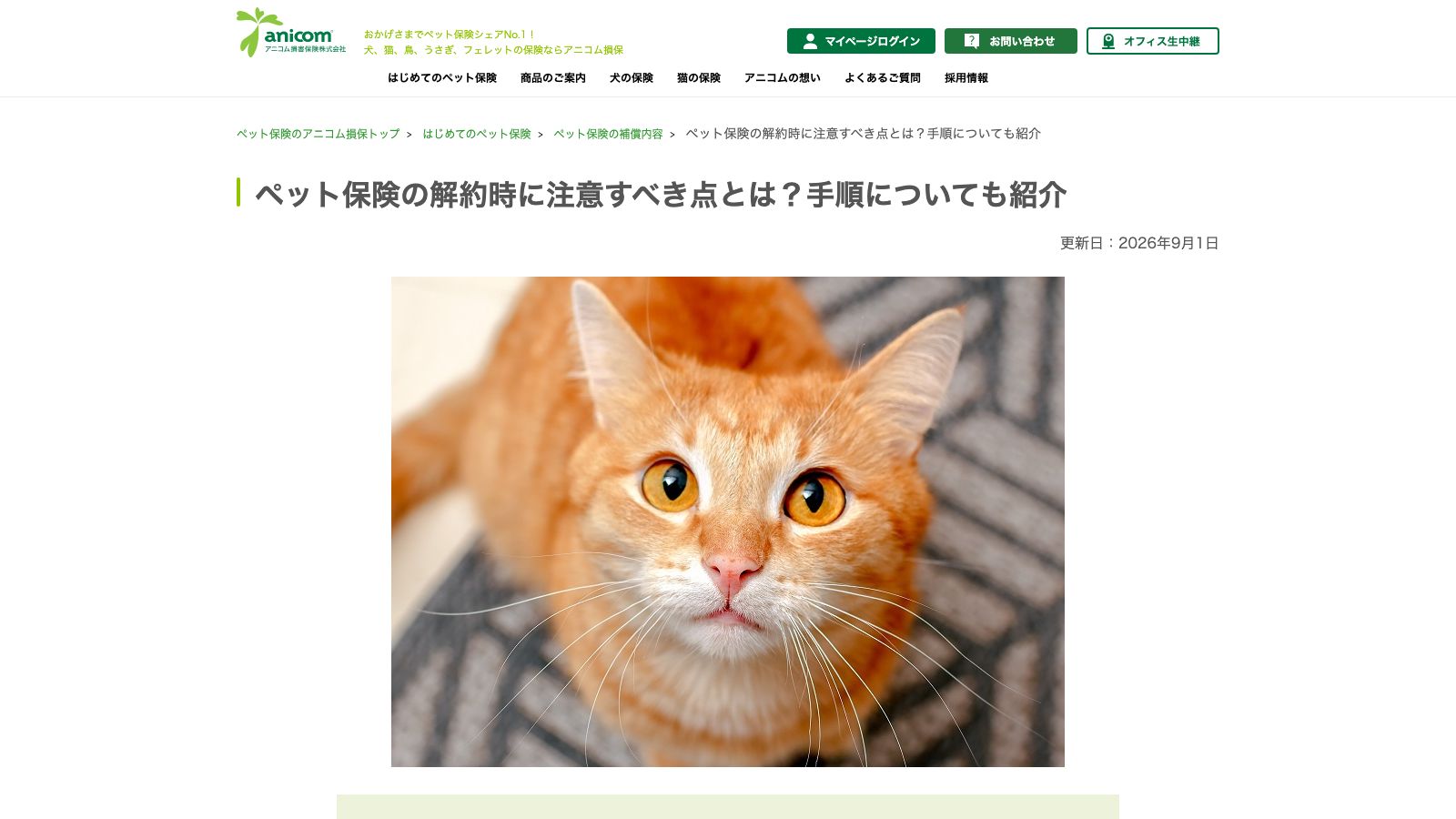 アニコム損害保険「ペット保険の解約時に注意すべき点とは？手順についても紹介」