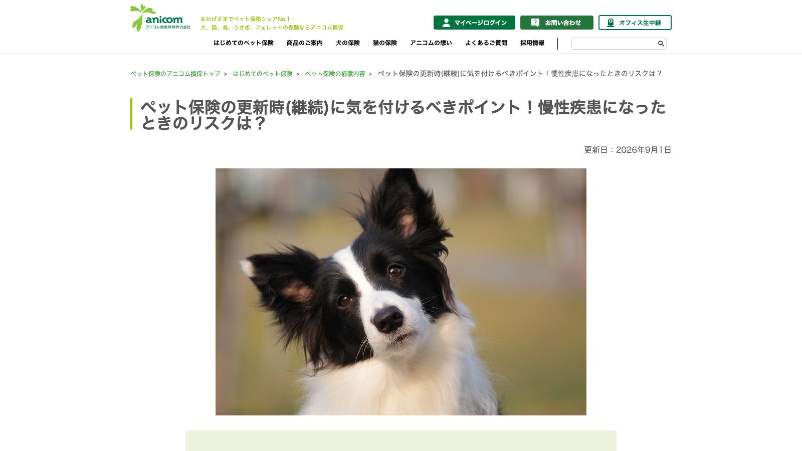 アニコム損害保険株式会社「ペット保険の更新時(継続)に気を付けるべきポイント!慢性疾患になったときのリスク」