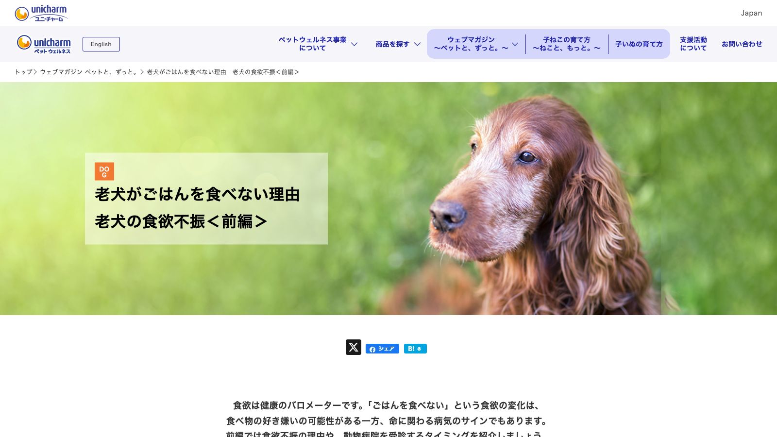 ユニ・チャーム ペット公式ウェブマガジン「老犬がごはんを食べなくなる理由」