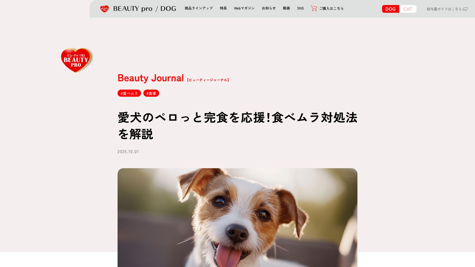 日本ペットフード公式「愛犬のペロっと完食を応援！食べムラ対処法を解説」